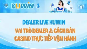Dealer Live KUWIN – Vai Trò Dealer & Cách Bàn Casino Trực Tiếp Vận Hành