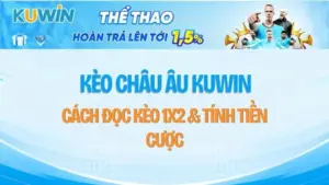 Kèo Châu Âu KUWIN – Cách Đọc Kèo 1X2 & Tính Tiền Cược